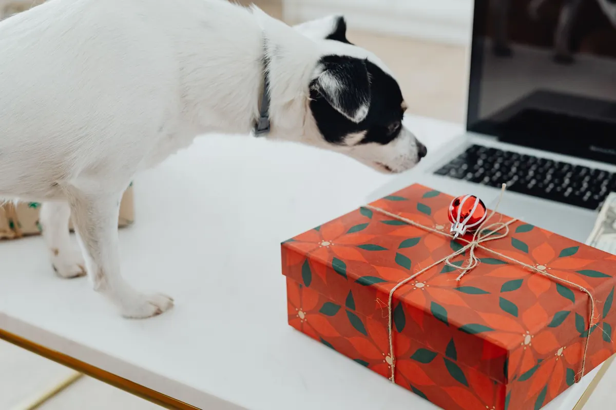 Christmas Tech Gifts for Under £50: A UK Buyer's Checklist